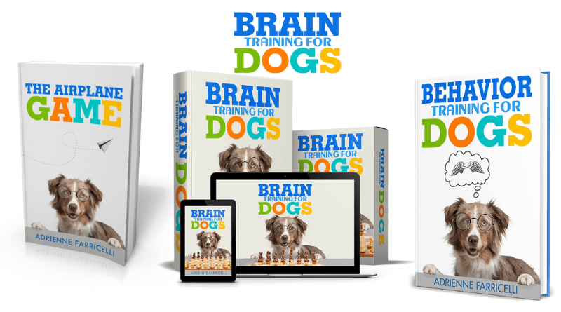 brain training for dogs